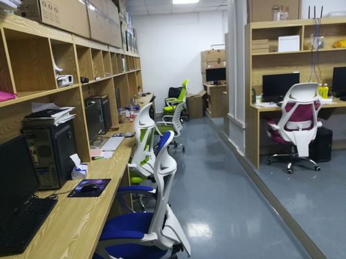 速度在线网络科技员工点评 真实职场体验与评价汇总